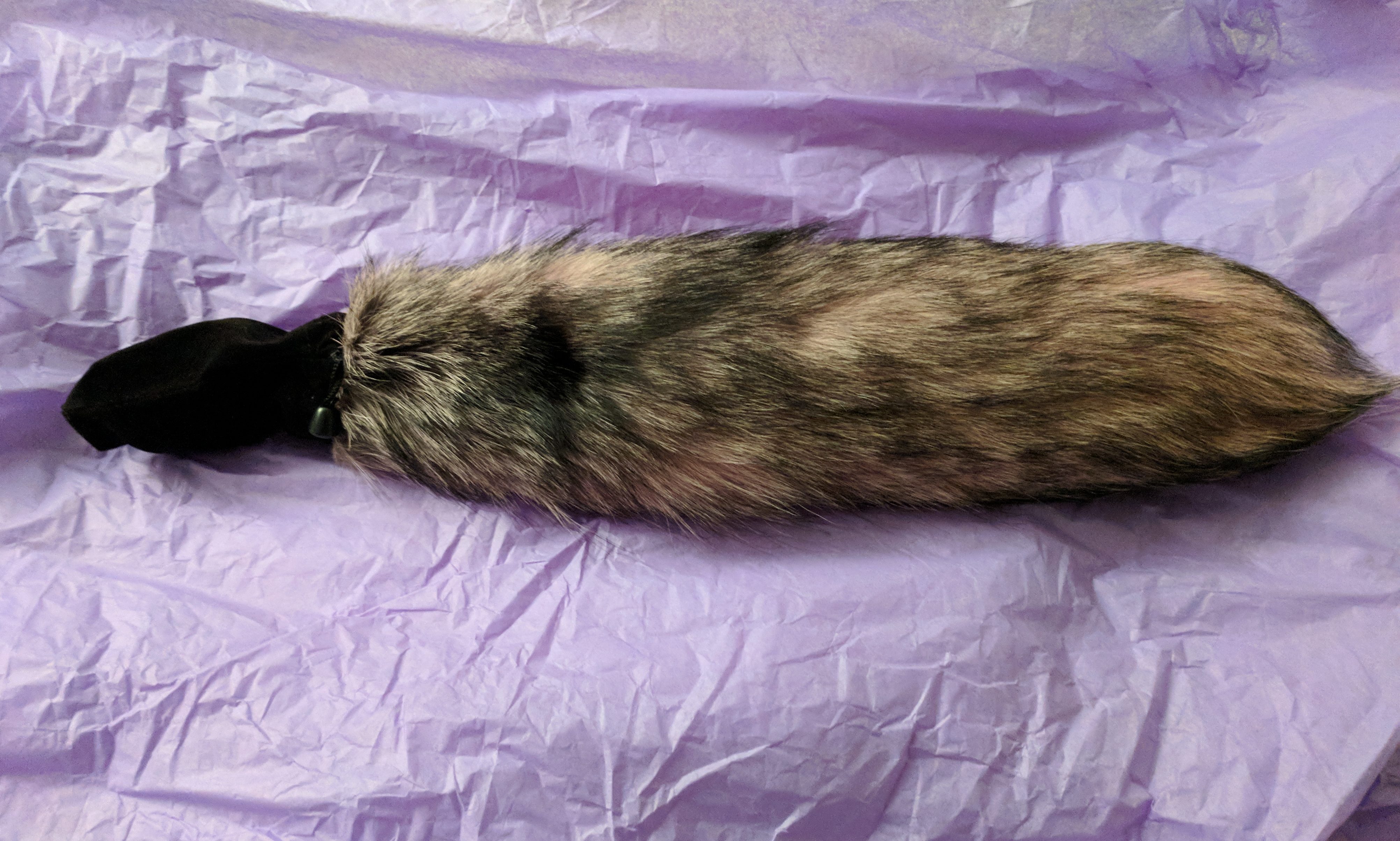 Pink and black foxtail on purple tissue paper