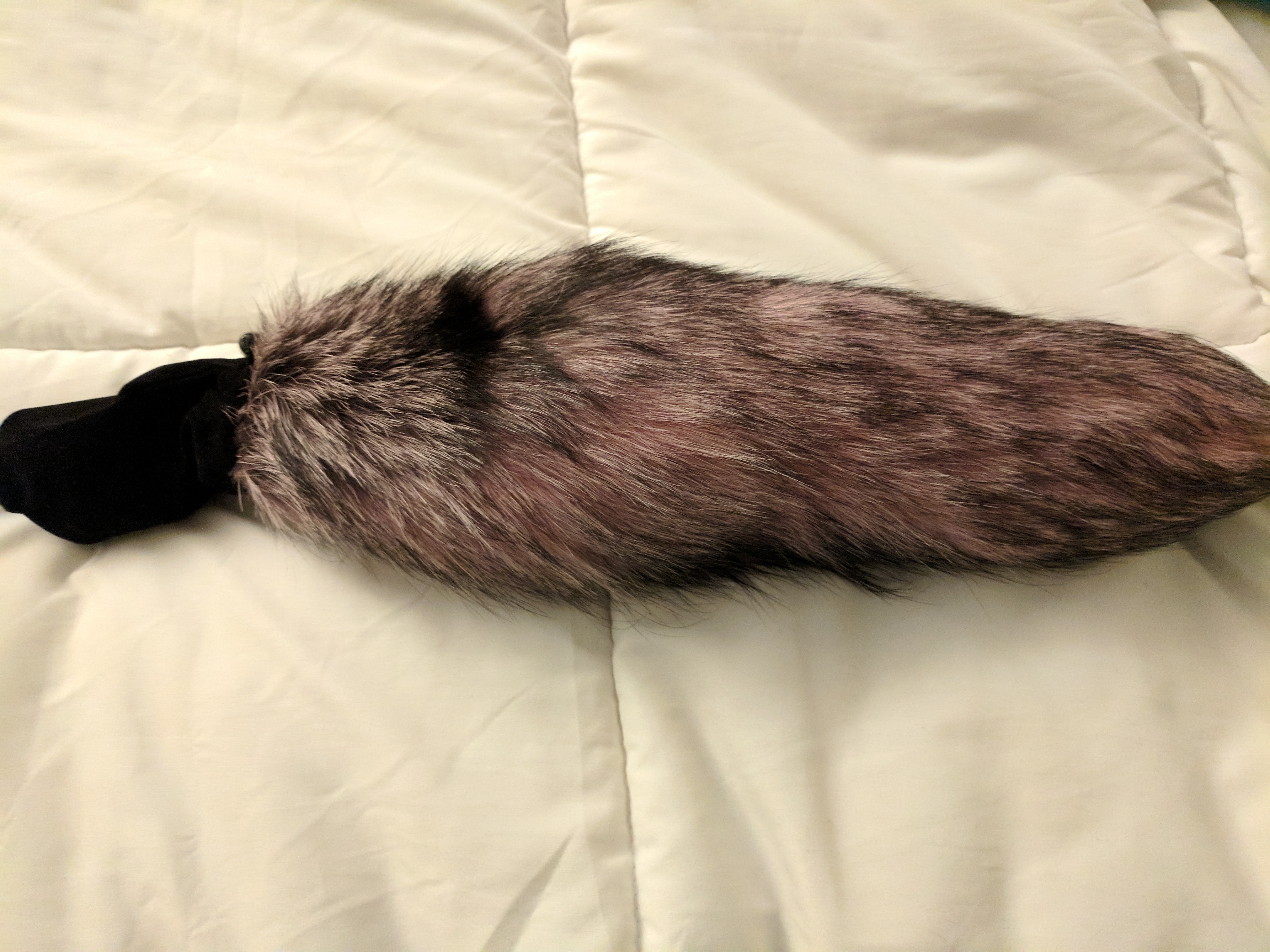 indigo foxtail on bed