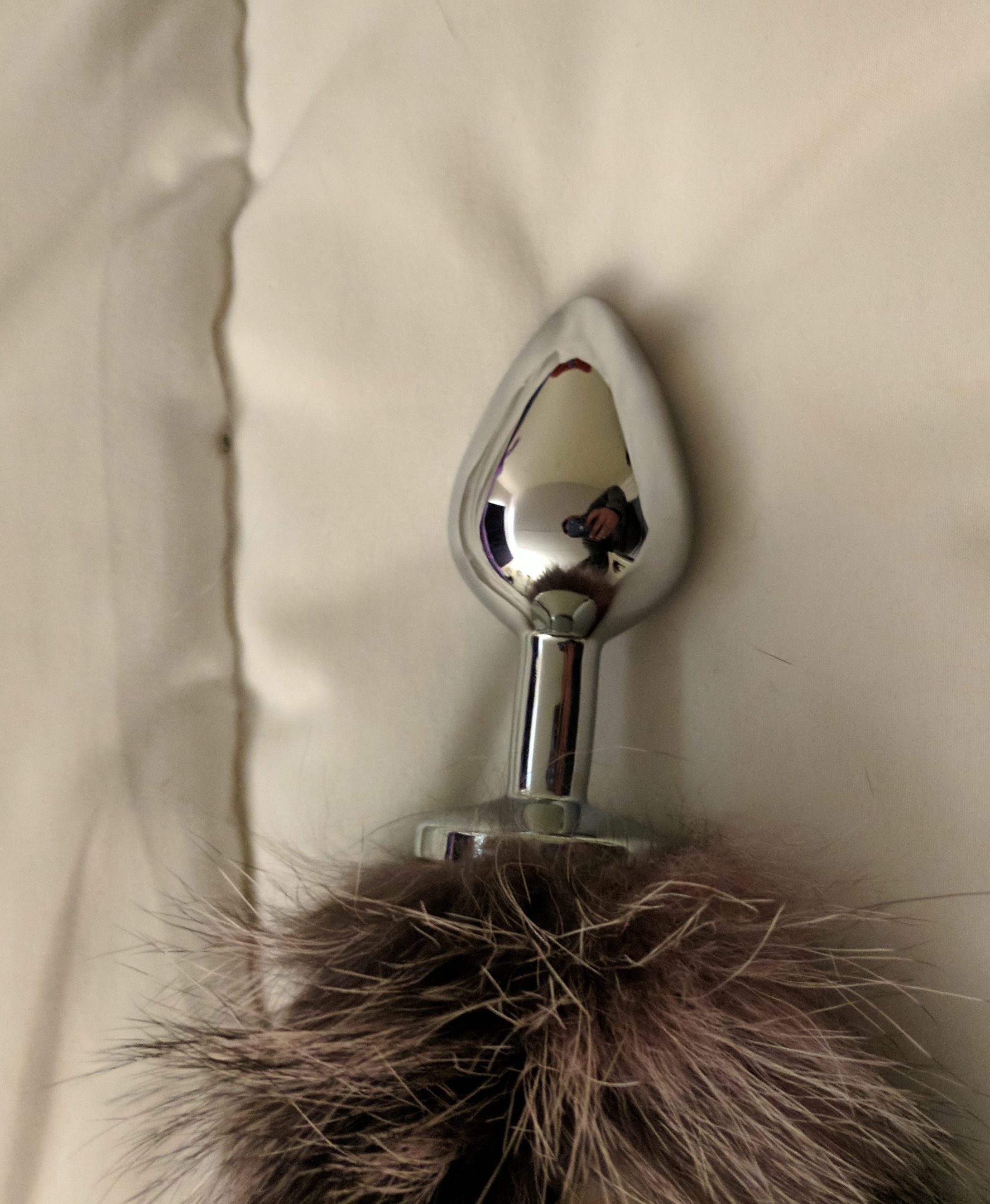 Stainless steel plug end of tail resting on bed