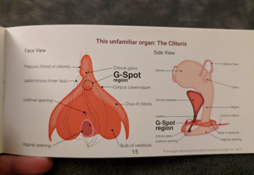 Clitoris diagrams from the book