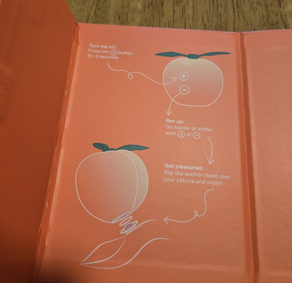 Inside flap instructions about how to work the buttons and use the toy